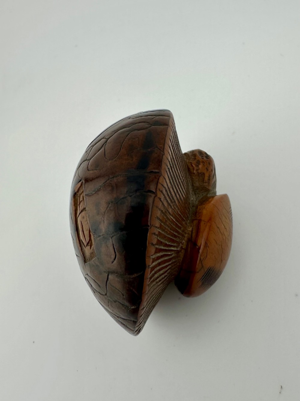 A 19th-century Japanese carved boxwood netsuke depicting a snail resting on the cap of a ribbed mushroom. View IX