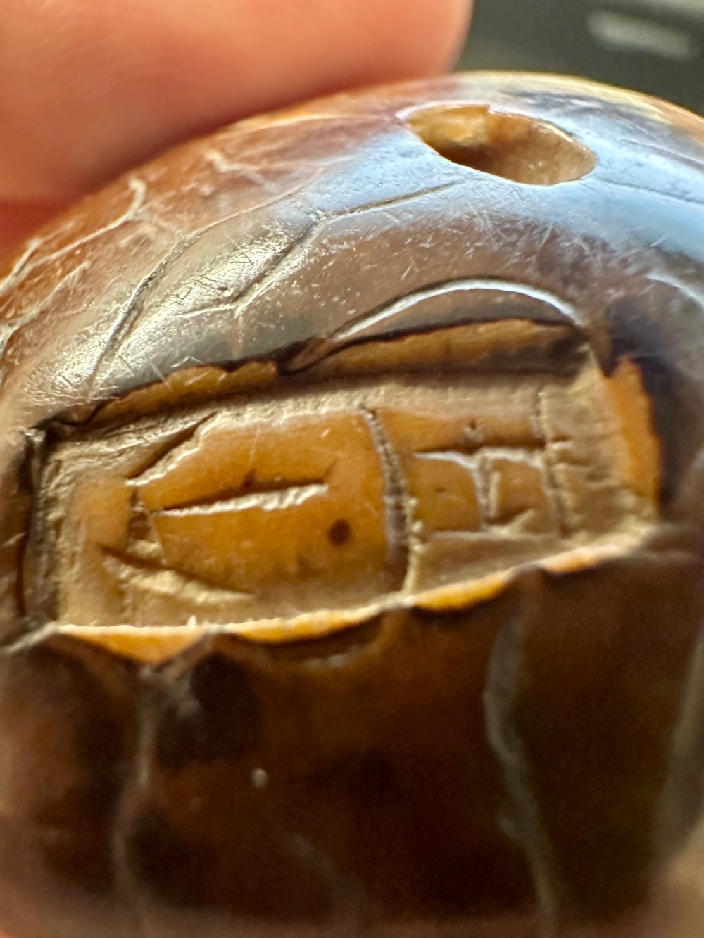 A 19th-century Japanese carved boxwood netsuke depicting a snail resting on the cap of a ribbed mushroom. View X