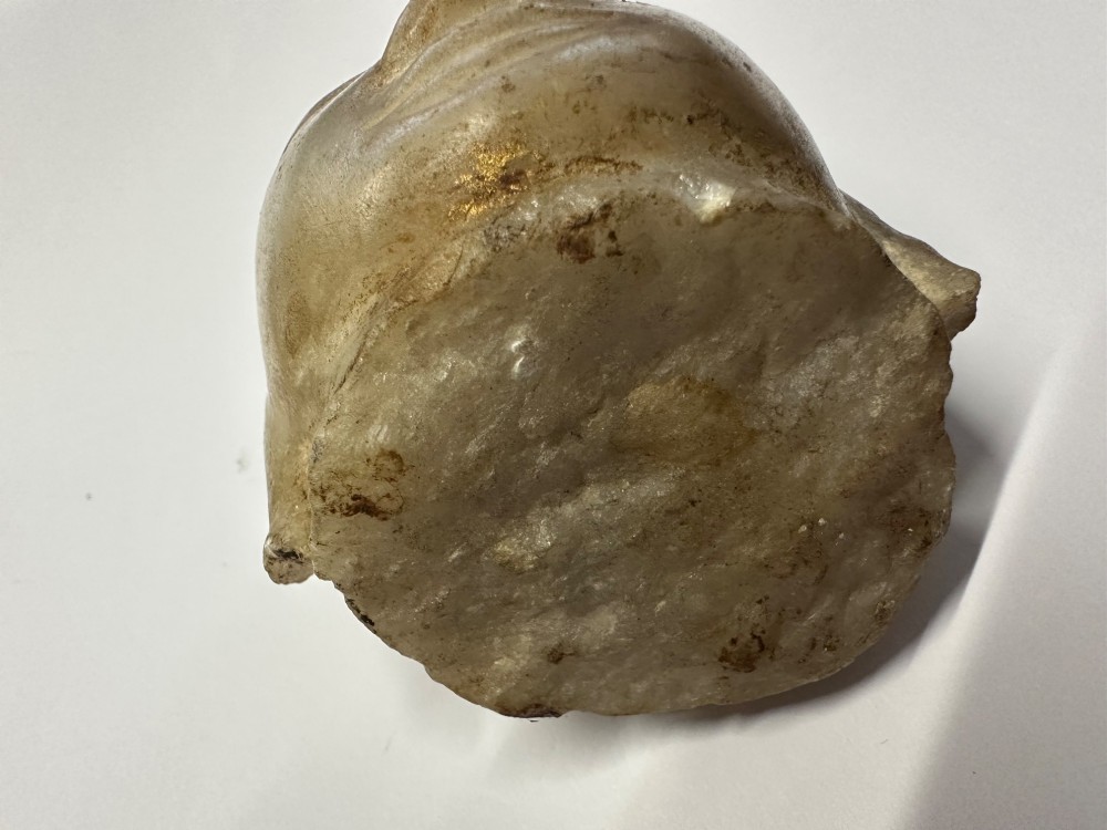 A carved off-white hardstone head fragment featuring facial features, elongated earlobes, and faint traces of gilding across the surface. View VII