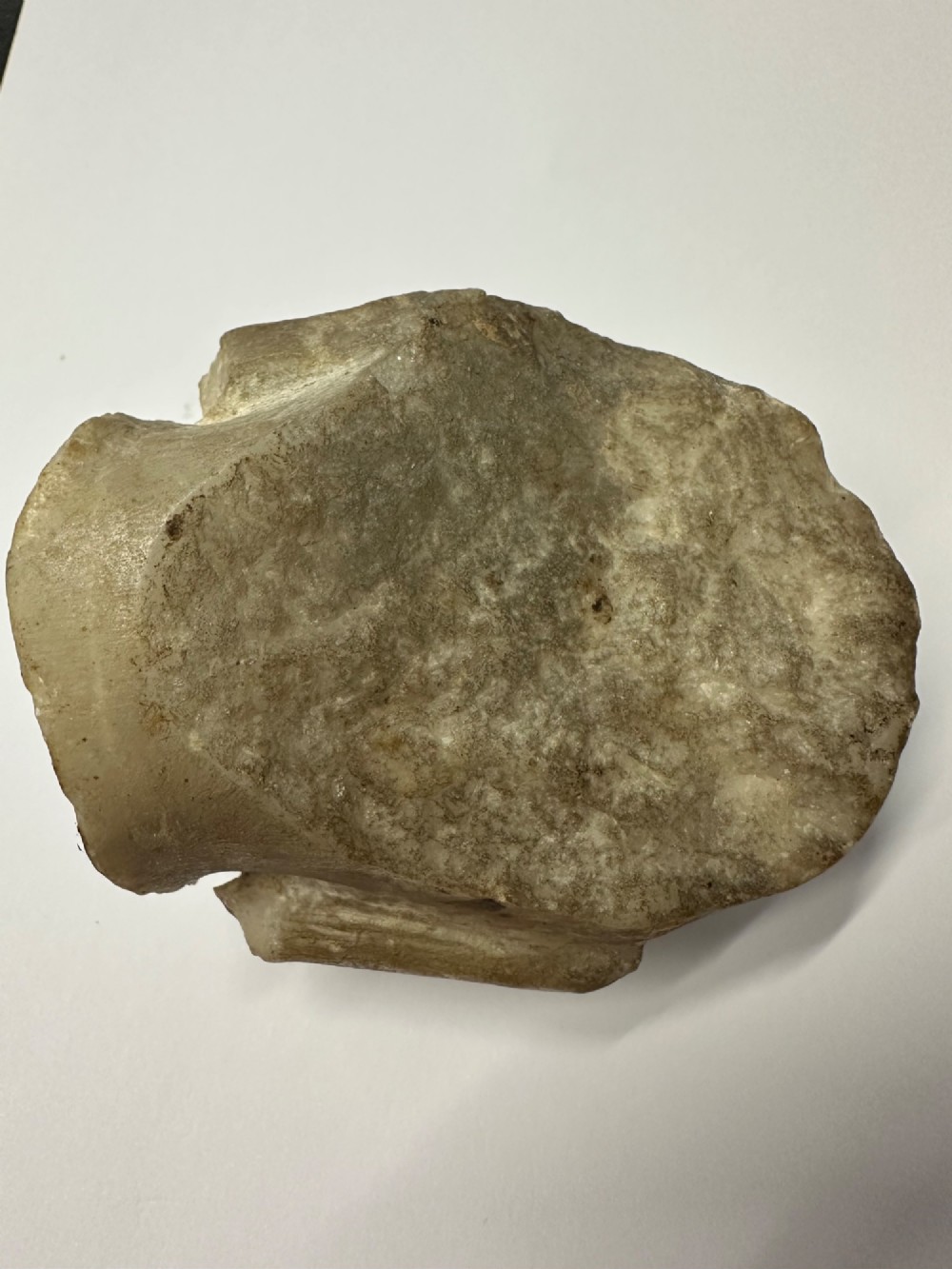 A carved off-white hardstone head fragment featuring facial features, elongated earlobes, and faint traces of gilding across the surface. View VIII