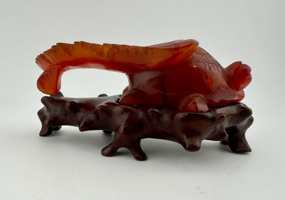 A translucent terracotta orange carnelian agate sculpture of a fantail goldfish positioned on a carved dark brown hardwood stand. View II