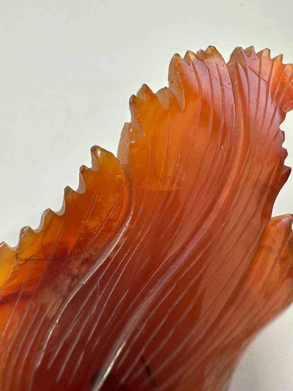 A translucent terracotta orange carnelian agate sculpture of a fantail goldfish positioned on a carved dark brown hardwood stand. View XIII