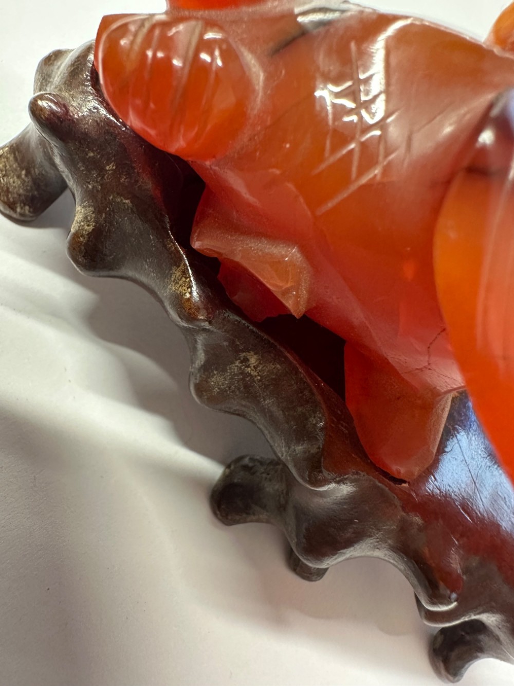 A translucent terracotta orange carnelian agate sculpture of a fantail goldfish positioned on a carved dark brown hardwood stand. View XIV