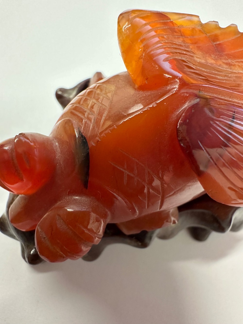 A translucent terracotta orange carnelian agate sculpture of a fantail goldfish positioned on a carved dark brown hardwood stand. View XV
