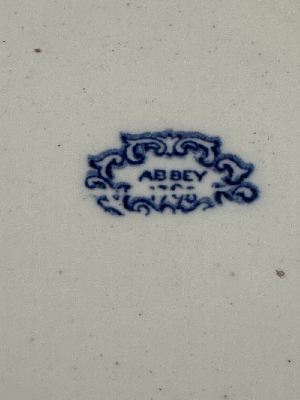 A circular blue and white transferware ceramic dish featuring a central printed depiction of abbey ruins framed by a decorative scrolled border. View V