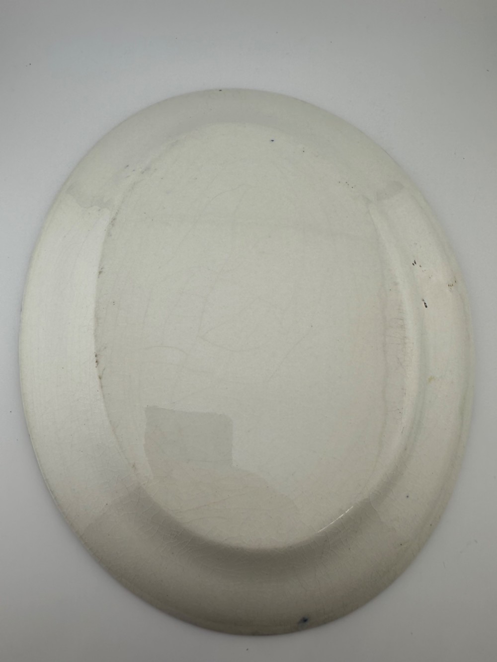 An early Victorian oval earthenware platter featuring a pale blue floral transferware border pattern and a gilded outer rim. View VII