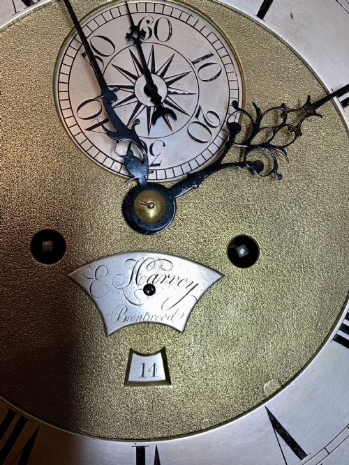 GEORGIAN LONGCASE CLOCK FEMALE MAKER FIVE PILLAR MOVEMENT - ADDITIONAL PHOTO 2