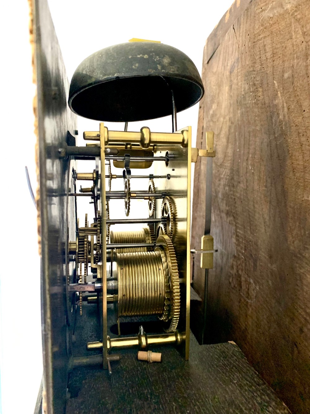 Elegant Regency Oak Longcase Clock - Superb Example View XV