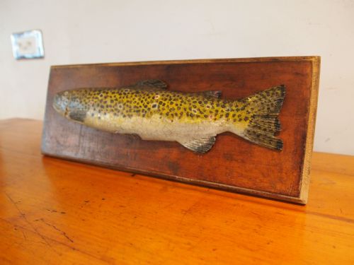 VERY RARE VICTORIAN FOLK ART FISHING TROPHY BROWN TROUT C1890 - ADDITIONAL PHOTO 1