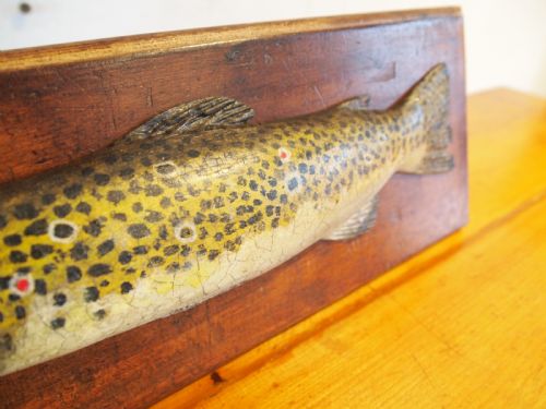 VERY RARE VICTORIAN FOLK ART FISHING TROPHY BROWN TROUT C1890 - ADDITIONAL PHOTO 3