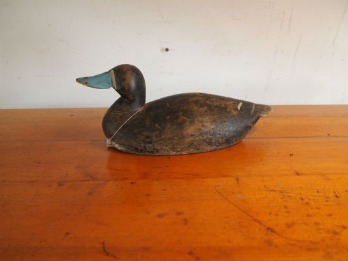 DECOY DUCK EDWARDIAN BLUEBILL TREEN FOLK ART C1900 - ADDITIONAL PHOTO 1