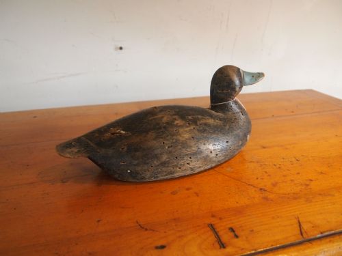 DECOY DUCK EDWARDIAN BLUEBILL TREEN FOLK ART C1900 - ADDITIONAL PHOTO 5
