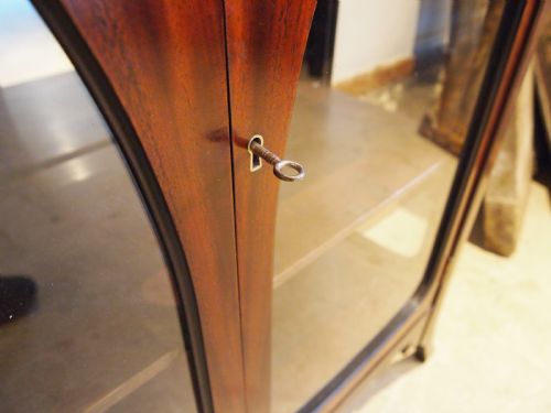 CABINET DISPLAY FINE ART NOUVEAU LOUIS MAJORELLE MANNER C1890 - ADDITIONAL PHOTO 8