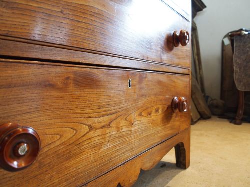 CHEST OF DRAWERS RARE ELM HOLKHAM HALL GEORGE IV C1820 - ADDITIONAL PHOTO 7