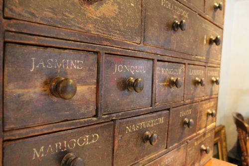 CHEST OF DRAWERS RARE HORTICULTURAL SEED BANK C1880 - ADDITIONAL PHOTO 2