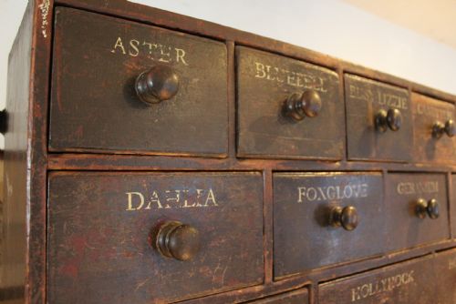 CHEST OF DRAWERS RARE HORTICULTURAL SEED BANK C1880 - ADDITIONAL PHOTO 7
