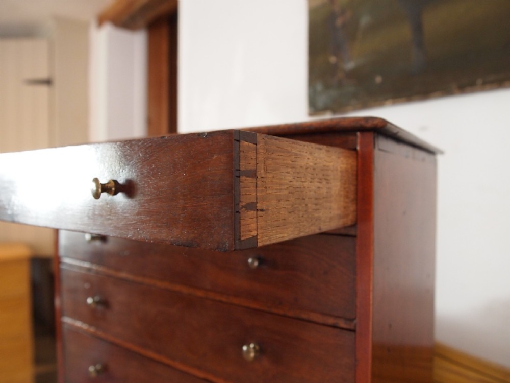 Chest of drawers rare George III Mahogany collectors chest c1790 View VI