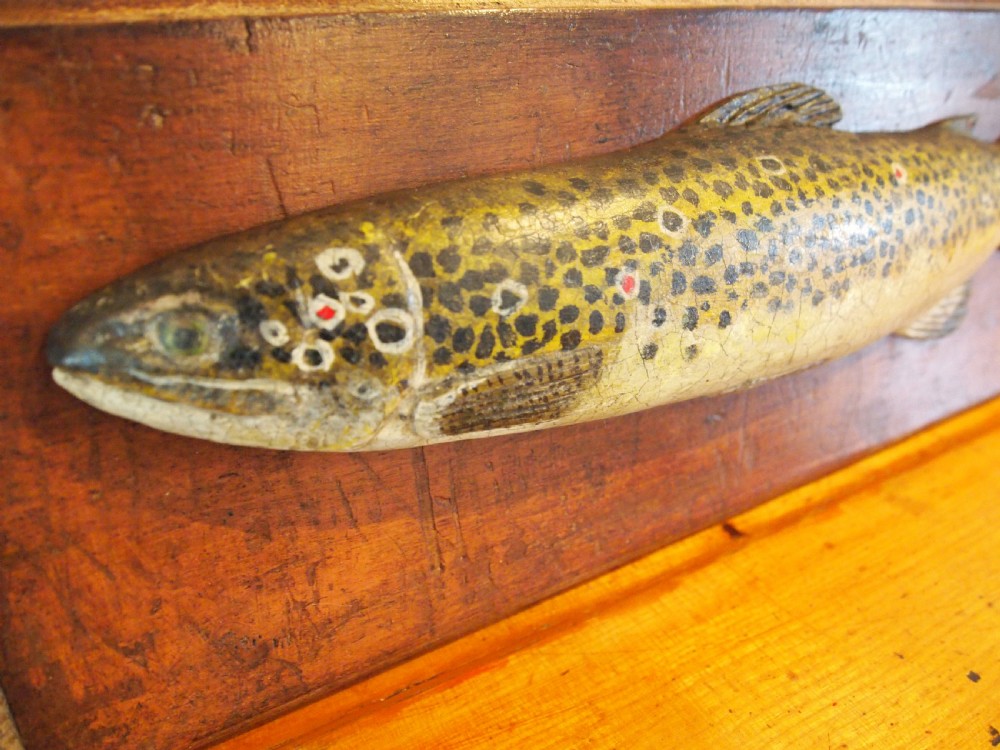 Very rare Victorian Folk art fishing trophy brown trout c1890 View III