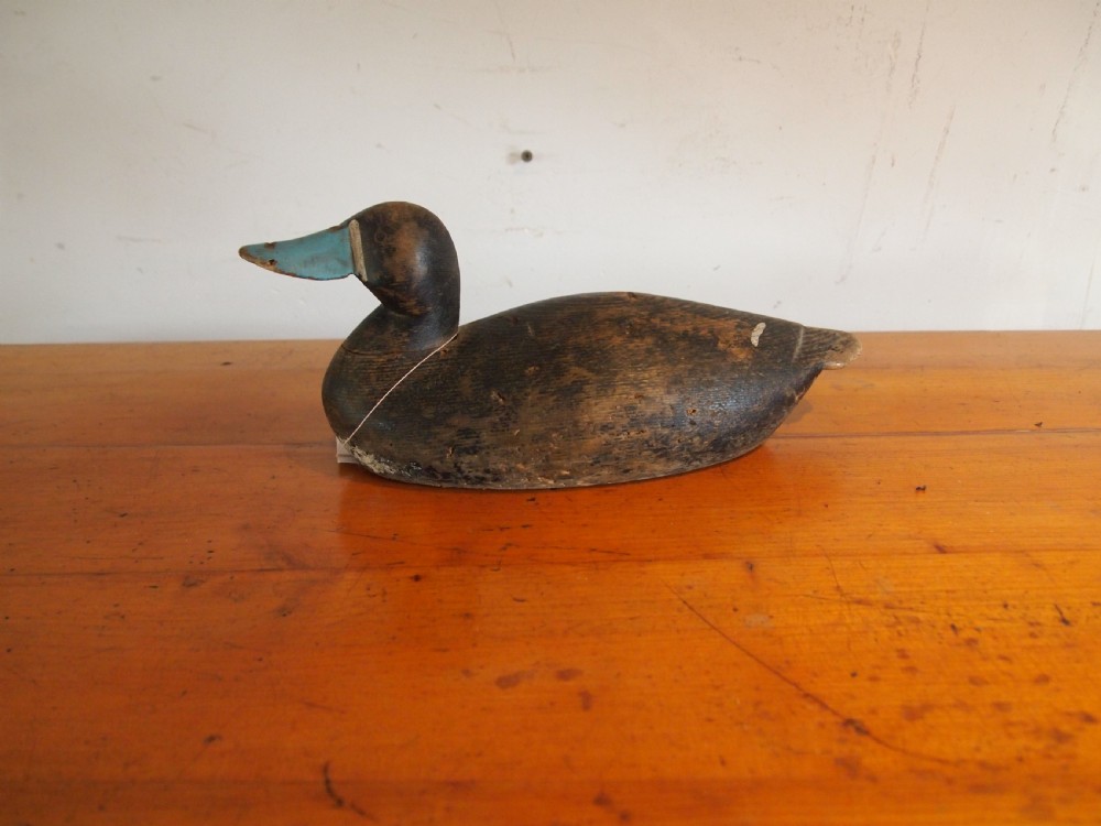 Decoy duck Edwardian Bluebill treen folk art c1900 View II