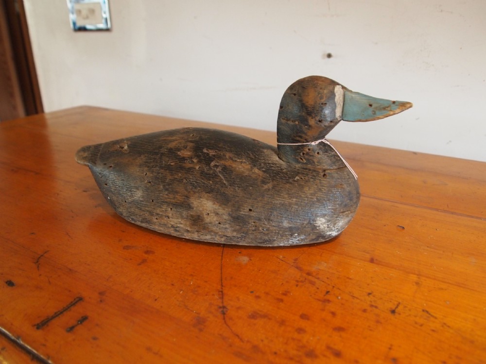 Decoy duck Edwardian Bluebill treen folk art c1900 View VII