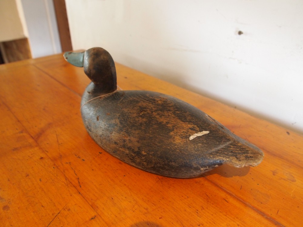 Decoy duck Edwardian Bluebill treen folk art c1900 View X
