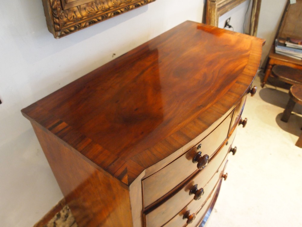 Chest of drawers fine quality bowfront Victorian c1840 View III