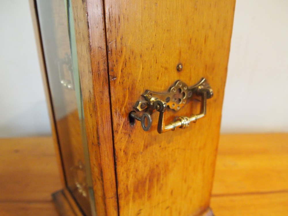 A tall Victorian oak collectors chest with an arched glass door enclosing internal drawers fitted with brass handles. View VI
