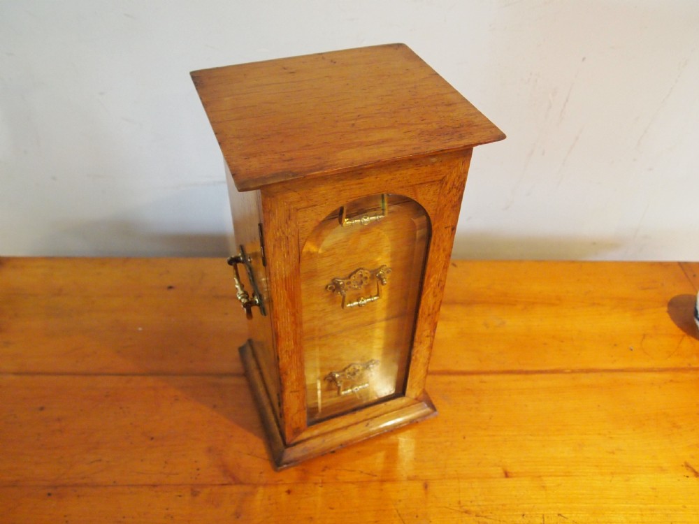 A tall Victorian oak collectors chest with an arched glass door enclosing internal drawers fitted with brass handles. View VII