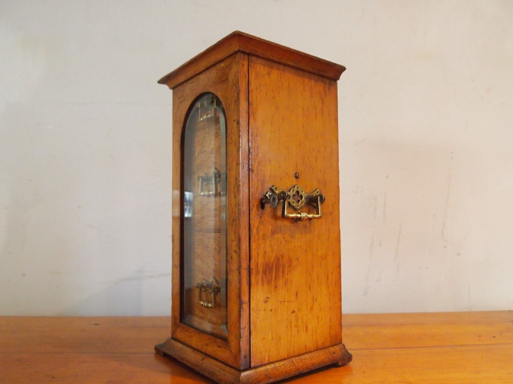A tall Victorian oak collectors chest with an arched glass door enclosing internal drawers fitted with brass handles. View IX
