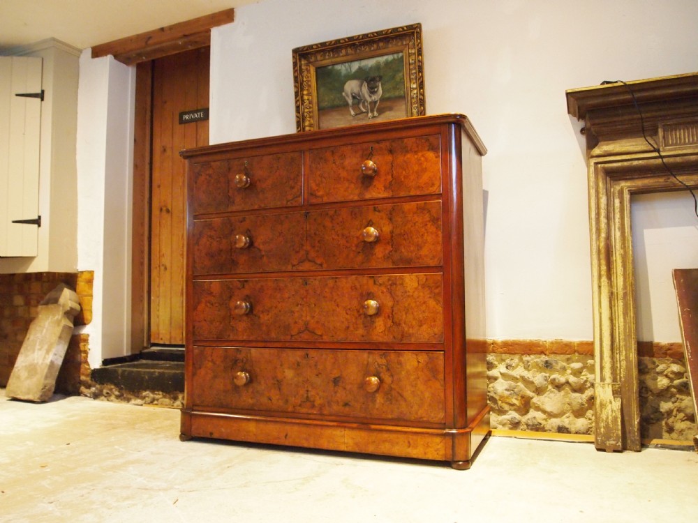 Chest of drawers stunning Burr Walnut Victorian c1860
