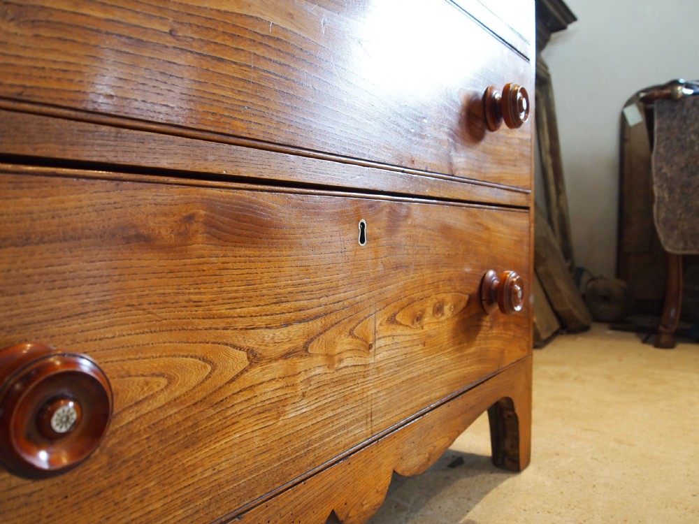 Chest of drawers rare Elm Holkham Hall George IV c1820 View VIII