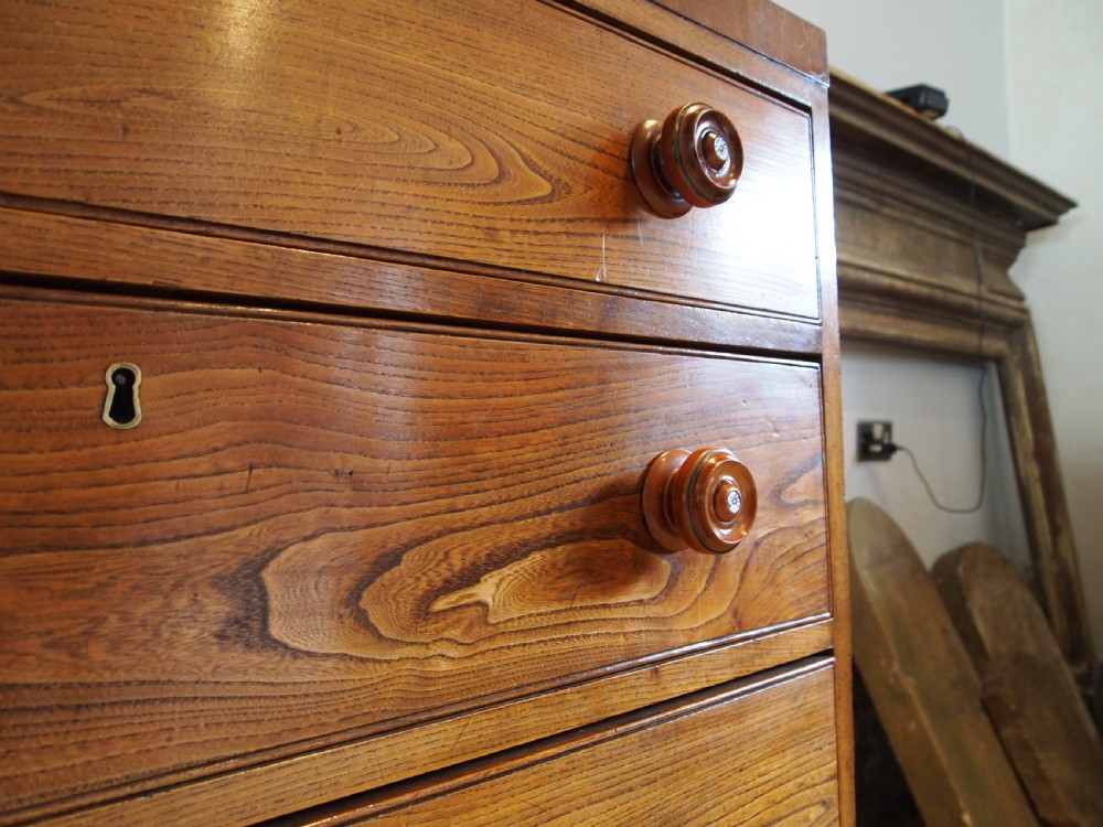 Chest of drawers rare Elm Holkham Hall George IV c1820 View IX