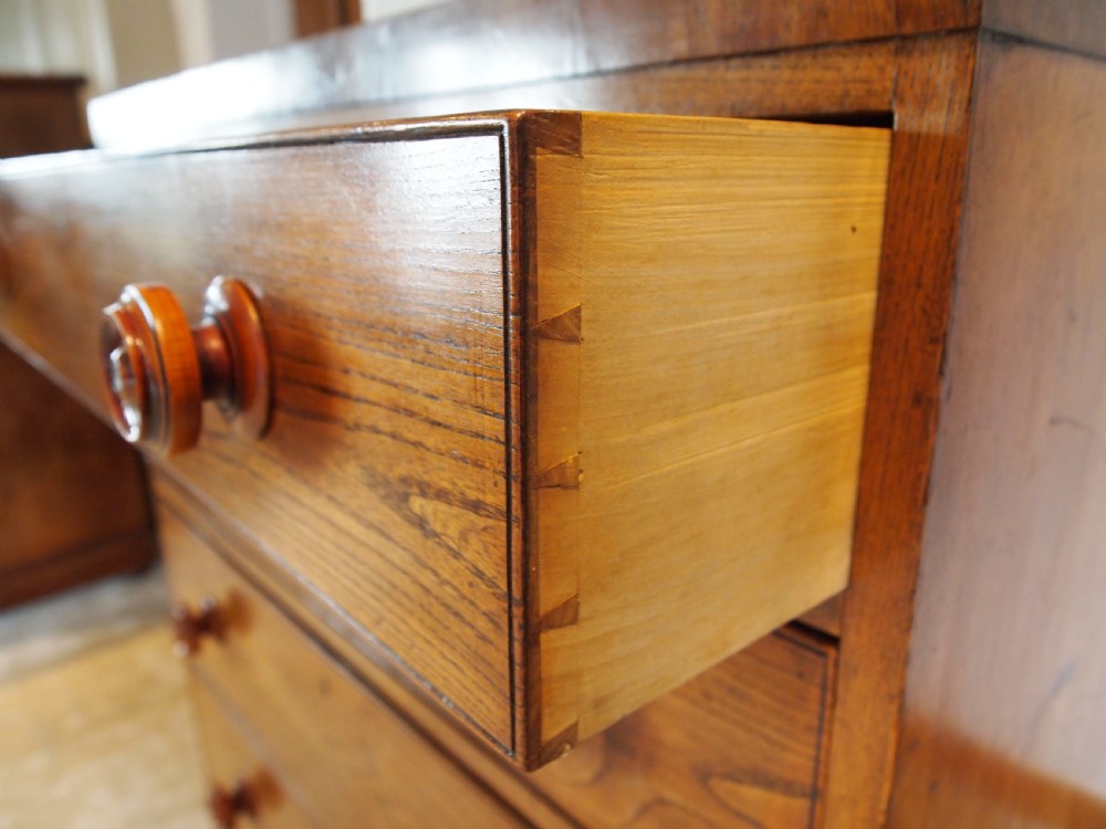 Chest of drawers rare Elm Holkham Hall George IV c1820 View X