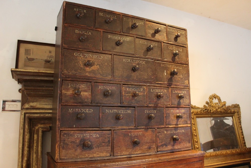 Chest of drawers rare Horticultural seed bank c1880