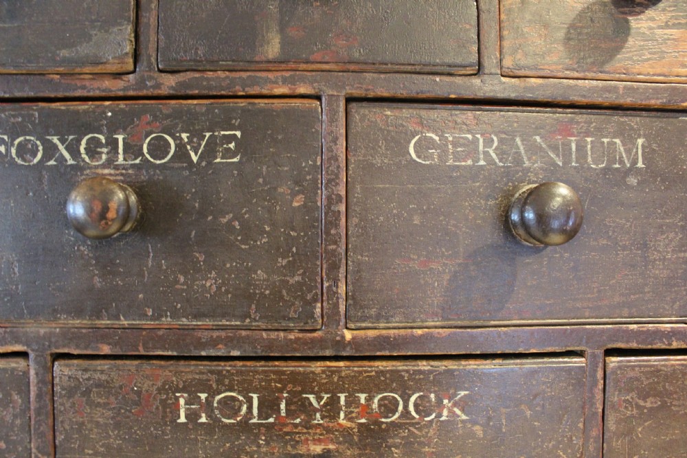 Chest of drawers rare Horticultural seed bank c1880 View II