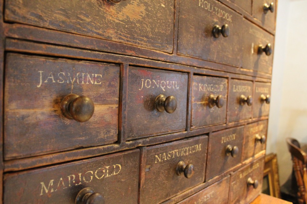 Chest of drawers rare Horticultural seed bank c1880 View III