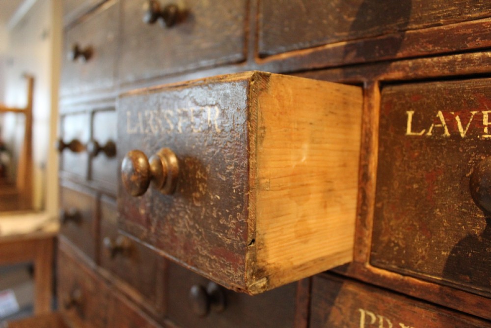 Chest of drawers rare Horticultural seed bank c1880 View V