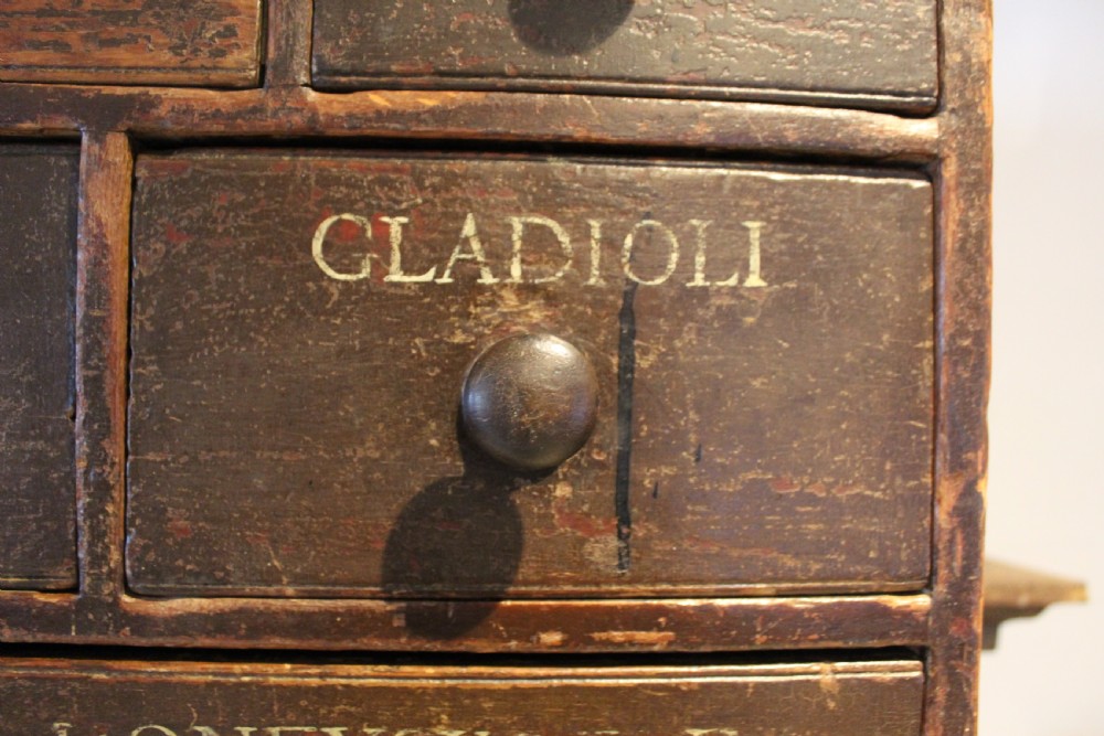 Chest of drawers rare Horticultural seed bank c1880 View VI