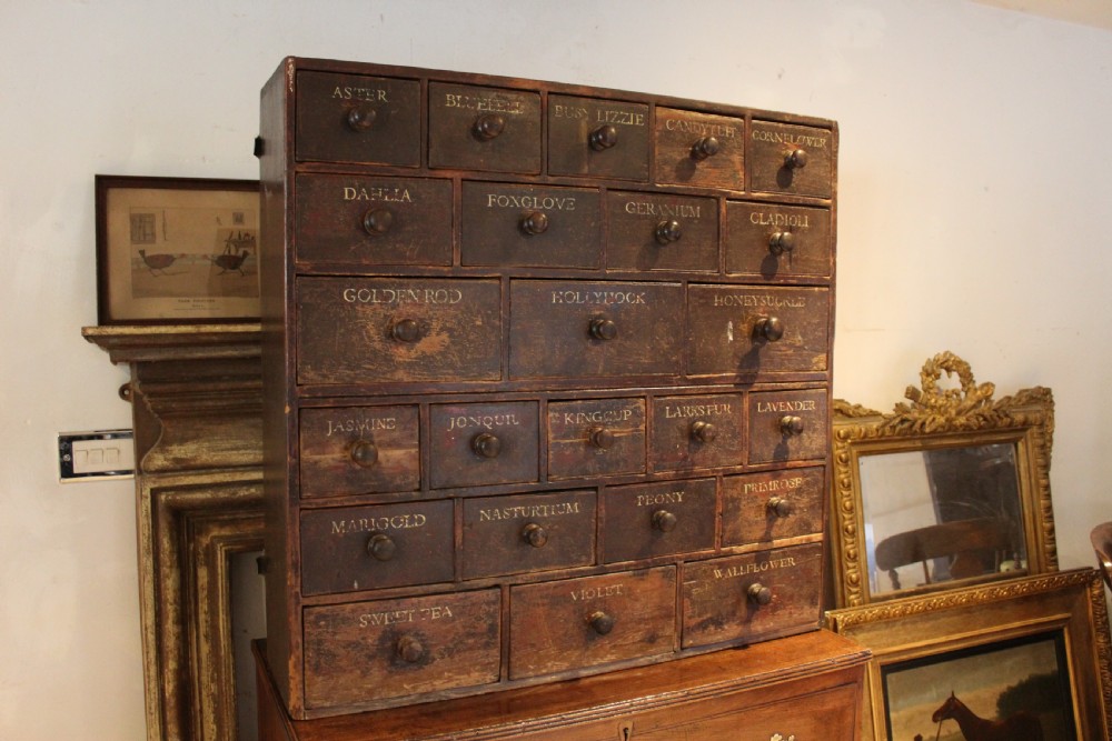 Chest of drawers rare Horticultural seed bank c1880 View VII