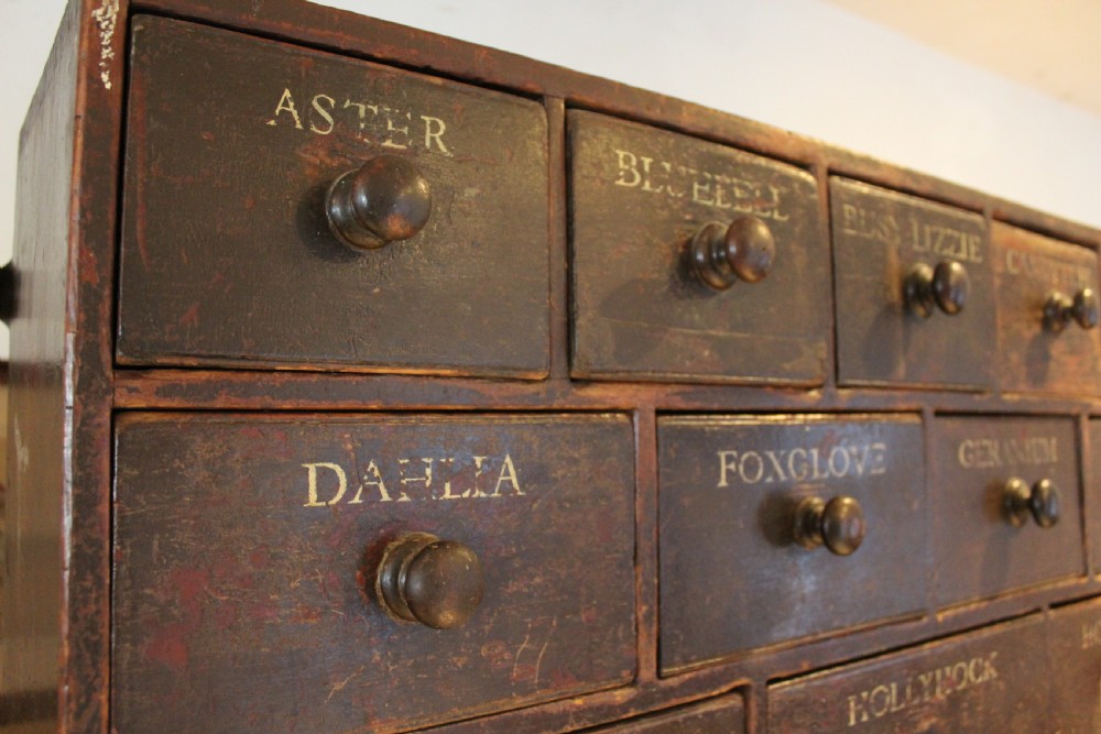 Chest of drawers rare Horticultural seed bank c1880 View VIII