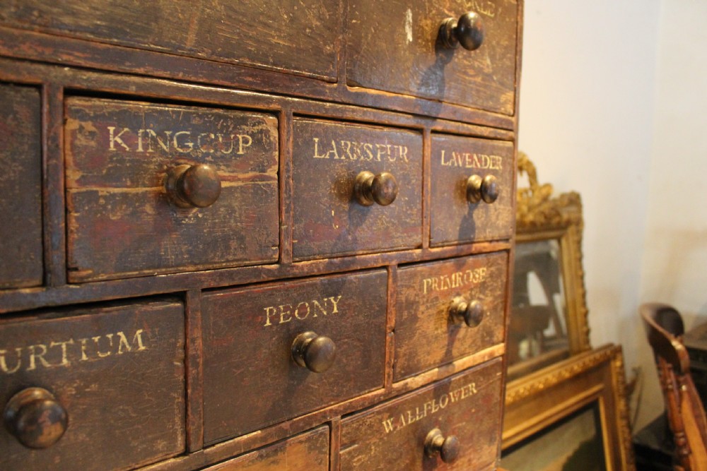 Chest of drawers rare Horticultural seed bank c1880 View X