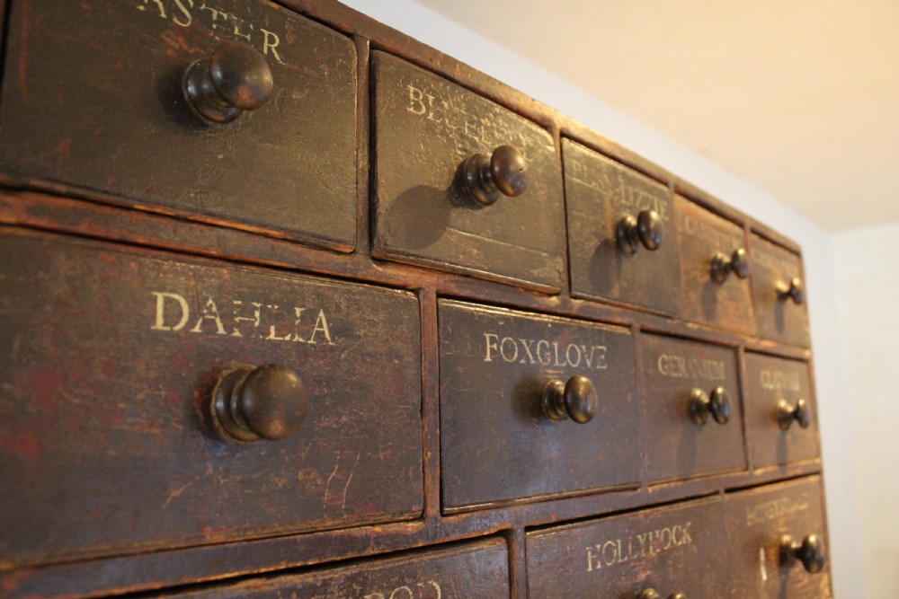 Chest of drawers rare Horticultural seed bank c1880 View XII