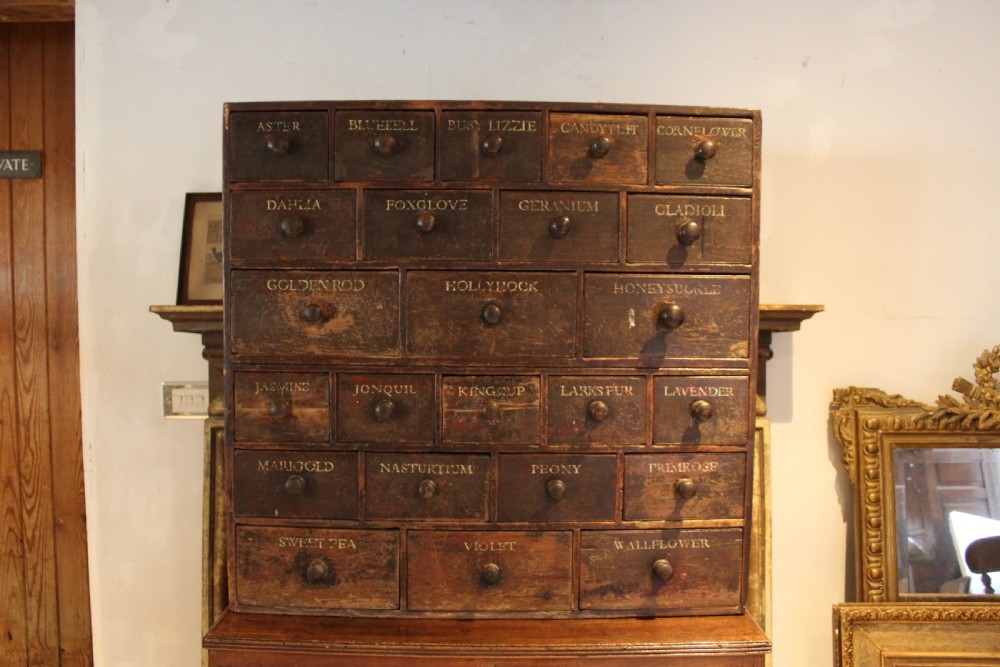 Chest of drawers rare Horticultural seed bank c1880 View XIV