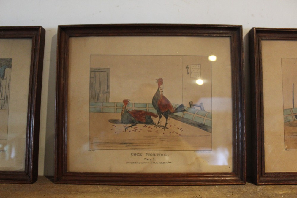 A set of four framed Victorian aquatint prints depicting cockfighting scenes in matching dark wood frames. View VI