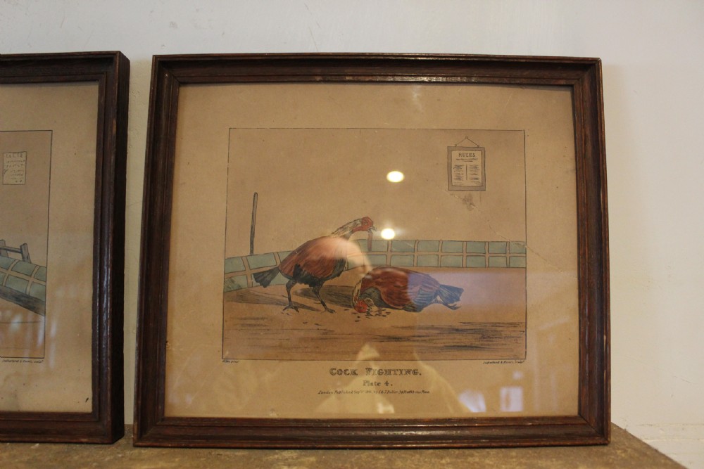 A set of four framed Victorian aquatint prints depicting cockfighting scenes in matching dark wood frames. View VII