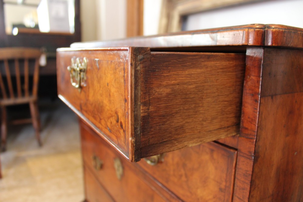 A compact George II walnut chest of drawers featuring decorative brass handles, crossbanded veneer top, and turned bun feet. View IX