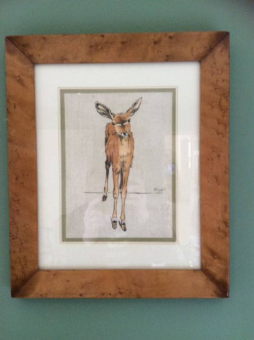 Original Print of a Fawn by Cecil Aldin