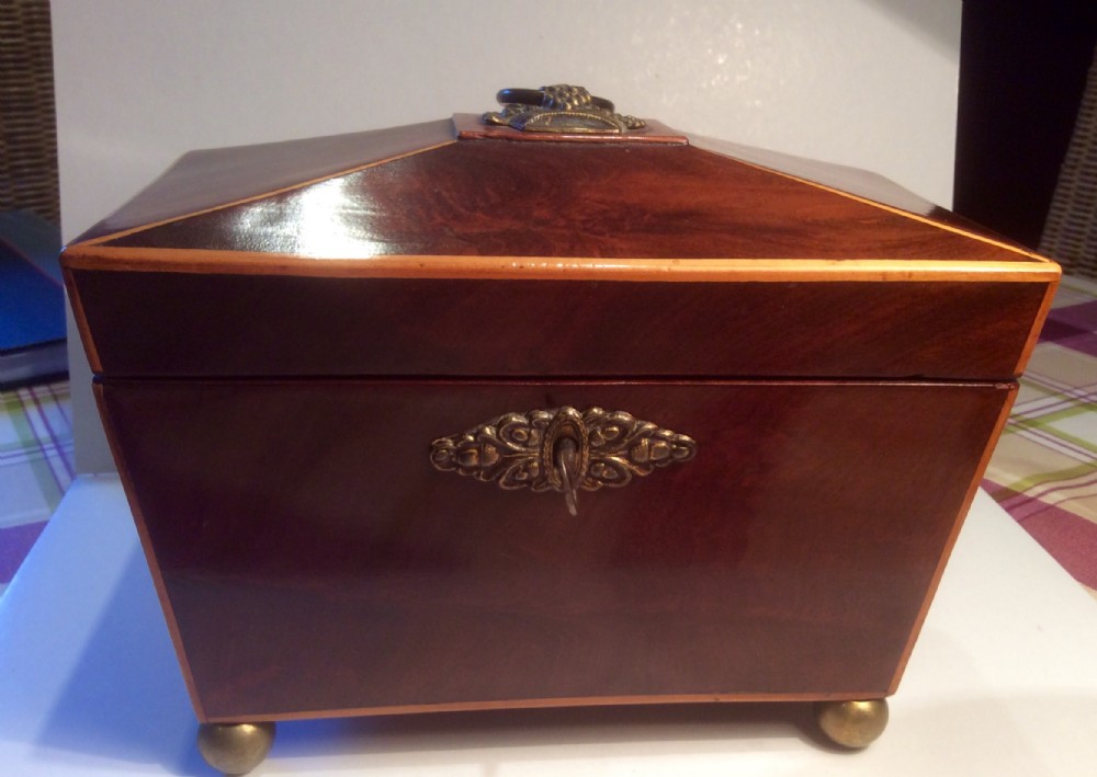 Georgian Mahongany Sarcophagus Tea Caddy