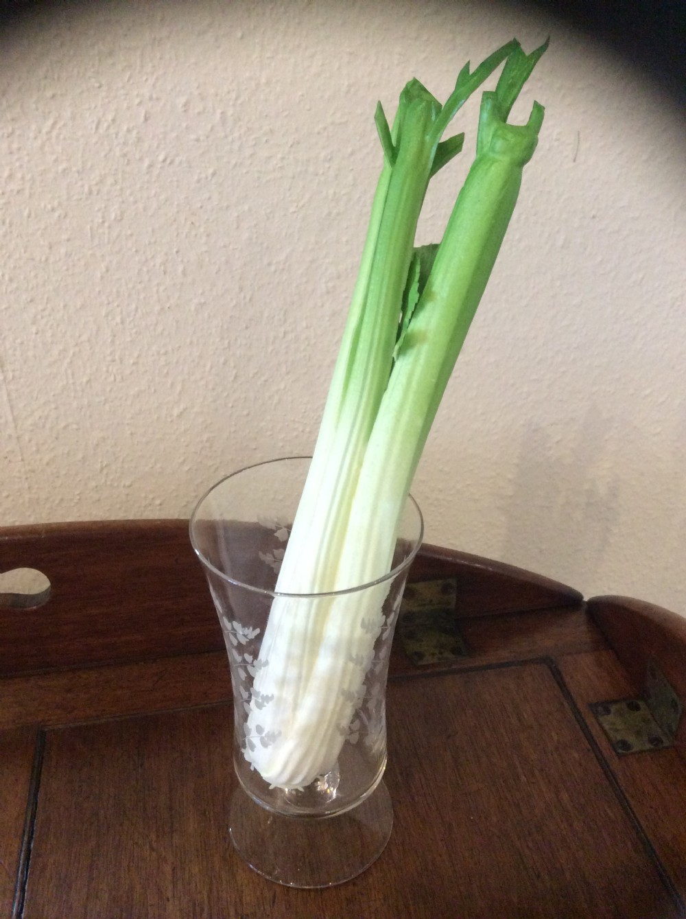 Pair of Edwardian etched Celery Glasses View IV