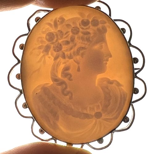 fig 1. Fine Victorian Carved Shell Portrait of a Lady Cameo Brooch